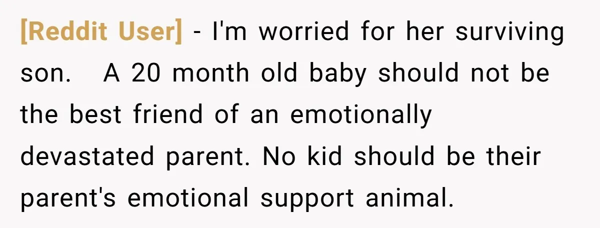 [Reddit User] − I'm worried for her surviving son. A 20 month old baby should not be the best friend of an emotionally devastated parent. No kid should be their...