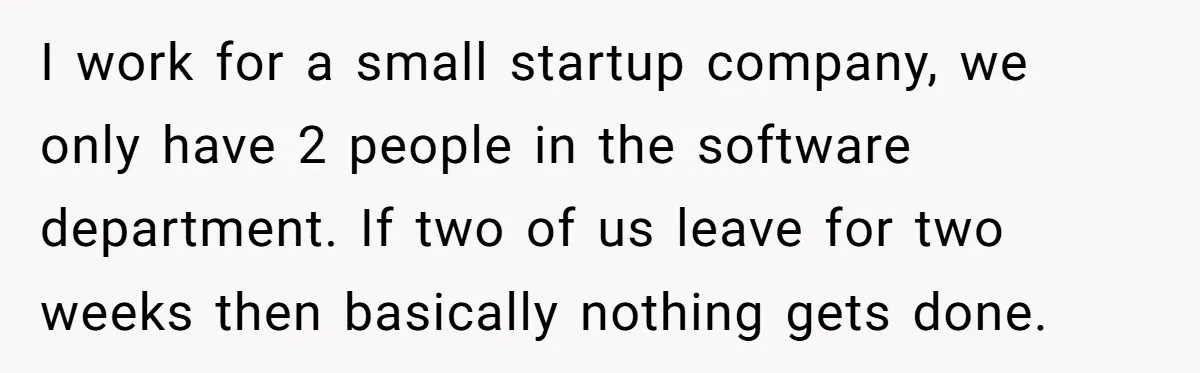I work for a small startup company, we only have 2 people in the software department. If two of us leave for two weeks then basically nothing gets done.