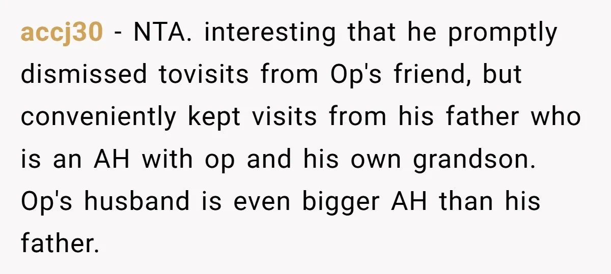 accj30 − NTA. interesting that he promptly dismissed tovisits from Op's friend, but conveniently kept visits from his father who is an AH with op and his own grandson. Op's...