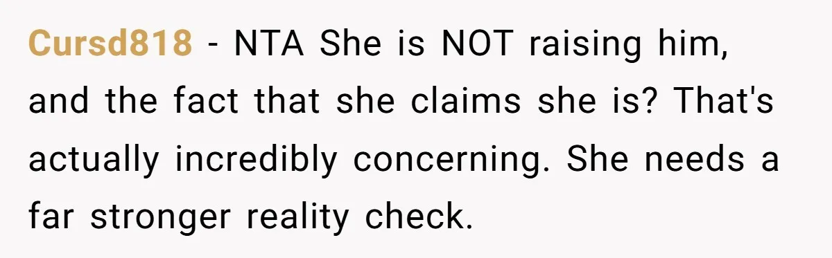 Cursd818 − NTA She is NOT raising him, and the fact that she claims she is? That's actually incredibly concerning. She needs a far stronger reality check.