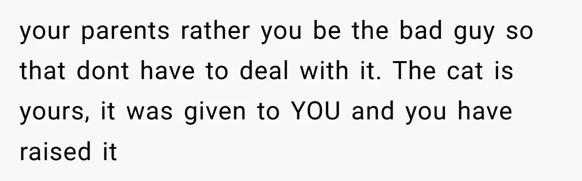your parents rather you be the bad guy so that dont have to deal with it. The cat is yours, it was given to YOU and you have raised it
