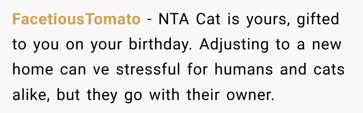 FacetiousTomato − NTA Cat is yours, gifted to you on your birthday. Adjusting to a new home can ve stressful for humans and cats alike, but they go with their...