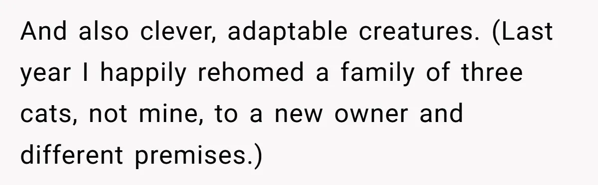 And also clever, adaptable creatures. (Last year I happily rehomed a family of three cats, not mine, to a new owner and different premises.)