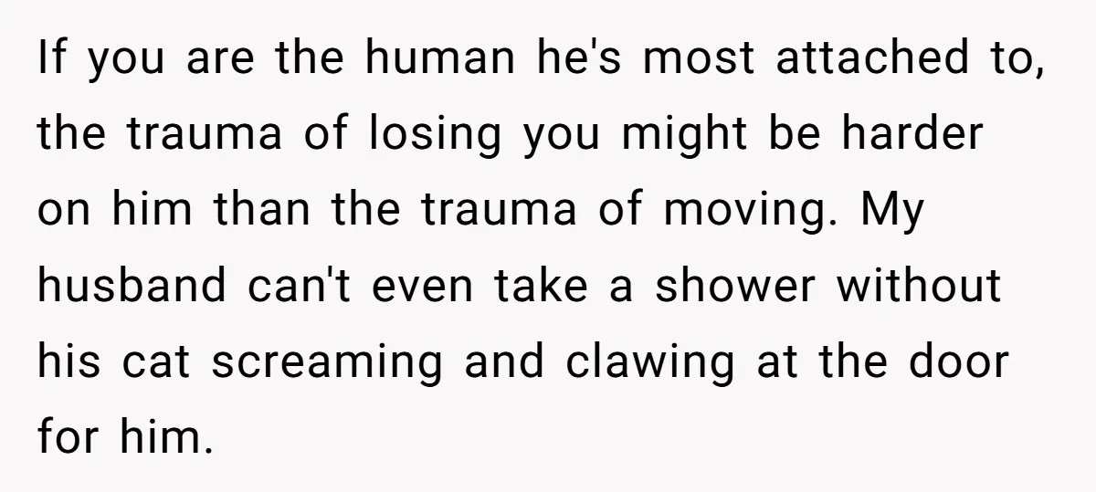 If you are the human he's most attached to, the trauma of losing you might be harder on him than the trauma of moving. My husband can't even take a...