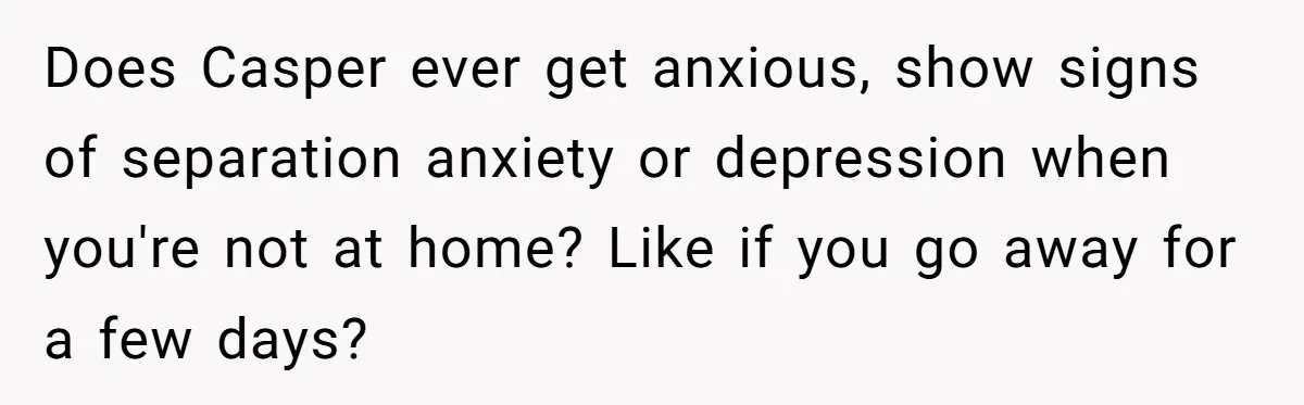 Does Casper ever get anxious, show signs of separation anxiety or depression when you're not at home? Like if you go away for a few days?