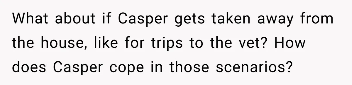 What about if Casper gets taken away from the house, like for trips to the vet? How does Casper cope in those scenarios?