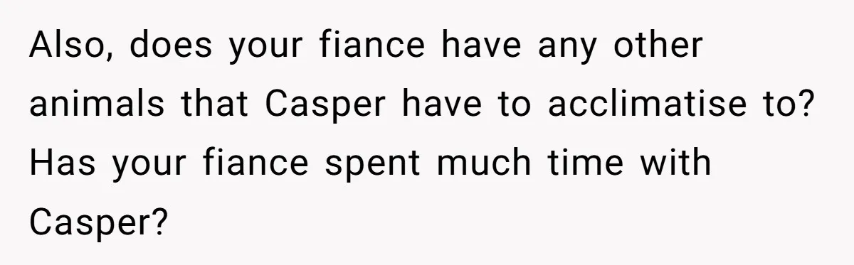 Also, does your fiance have any other animals that Casper have to acclimatise to? Has your fiance spent much time with Casper?