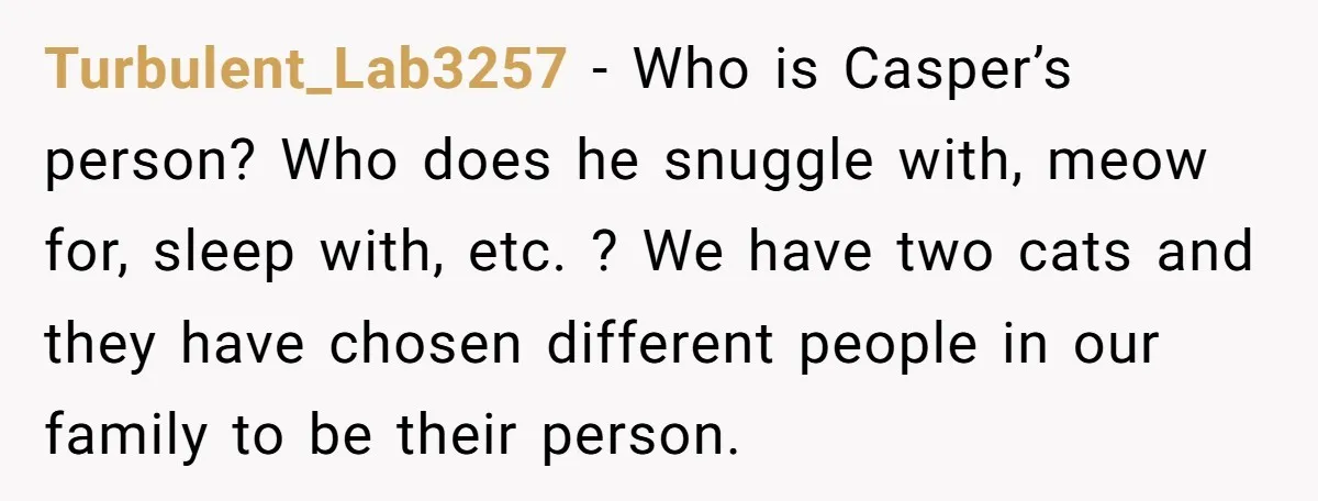 Turbulent_Lab3257 − Who is Casper’s person? Who does he snuggle with, meow for, sleep with, etc. ? We have two cats and they have chosen different people in our family...