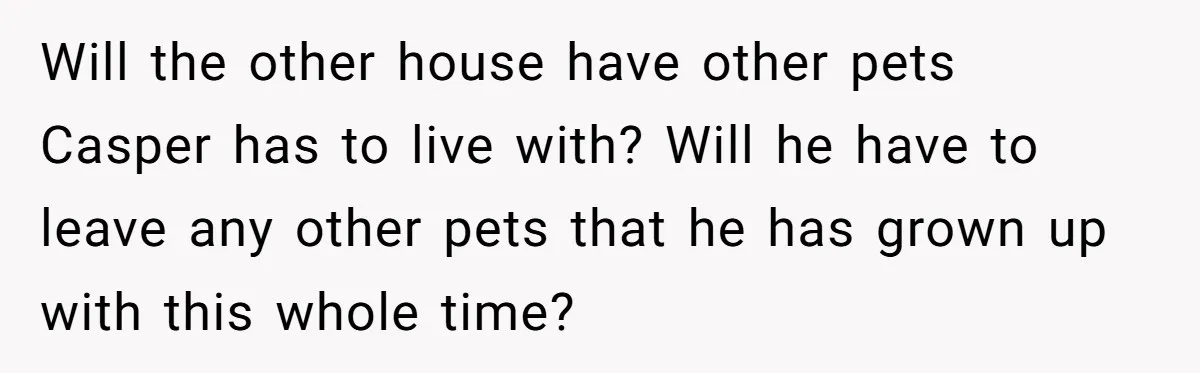 Will the other house have other pets Casper has to live with? Will he have to leave any other pets that he has grown up with this whole time?