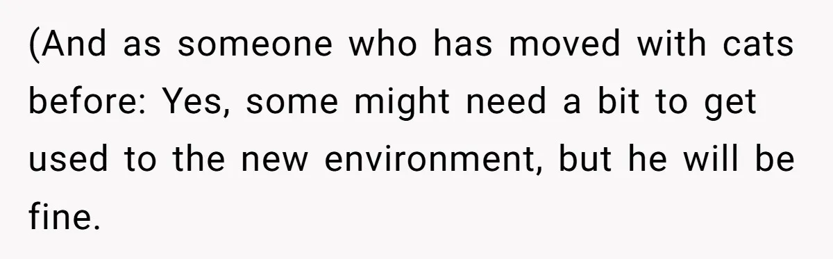 (And as someone who has moved with cats before: Yes, some might need a bit to get used to the new environment, but he will be fine.