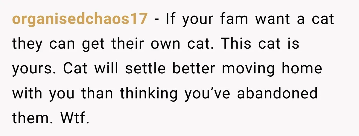 organisedchaos17 − If your fam want a cat they can get their own cat. This cat is yours. Cat will settle better moving home with you than thinking you’ve abandoned...