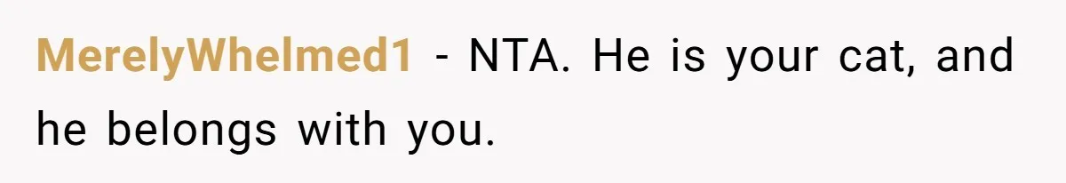 MerelyWhelmed1 − NTA. He is your cat, and he belongs with you.