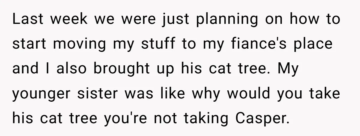 Last week we were just planning on how to start moving my stuff to my fiance's place and I also brought up his cat tree. My younger sister was like...
