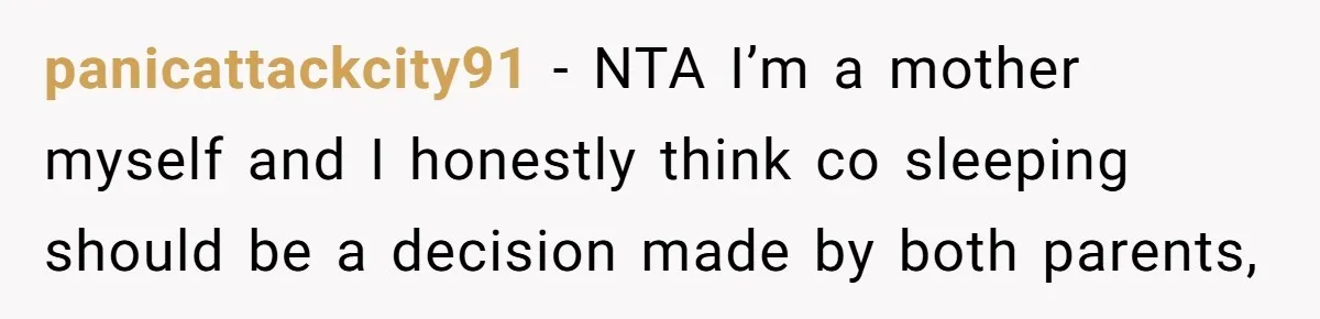 panicattackcity91 − NTA I’m a mother myself and I honestly think co sleeping should be a decision made by both parents,