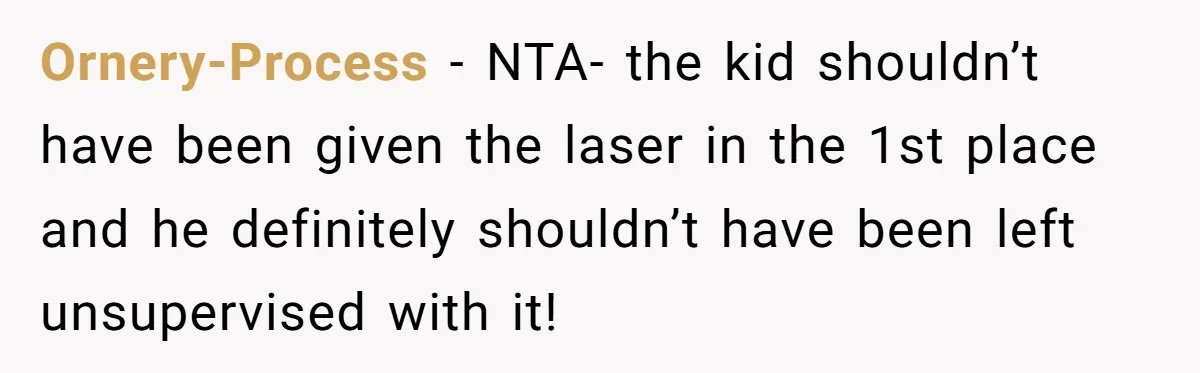Ornery-Process − NTA- the kid shouldn’t have been given the laser in the 1st place and he definitely shouldn’t have been left unsupervised with it!