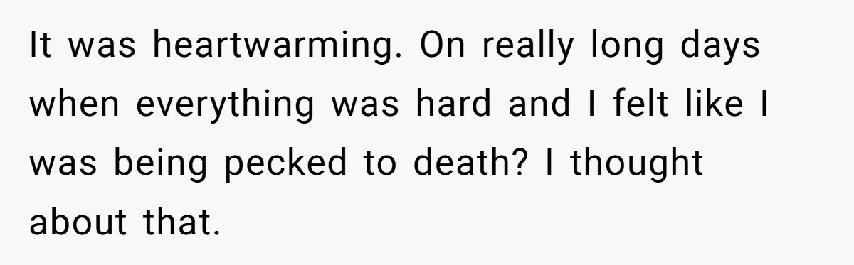 It was heartwarming. On really long days when everything was hard and I felt like I was being pecked to death? I thought about that.