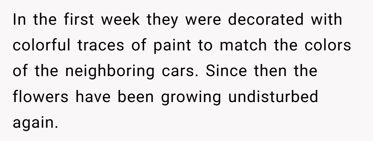 In the first week they were decorated with colorful traces of paint to match the colors of the neighboring cars. Since then the flowers have been growing undisturbed again.