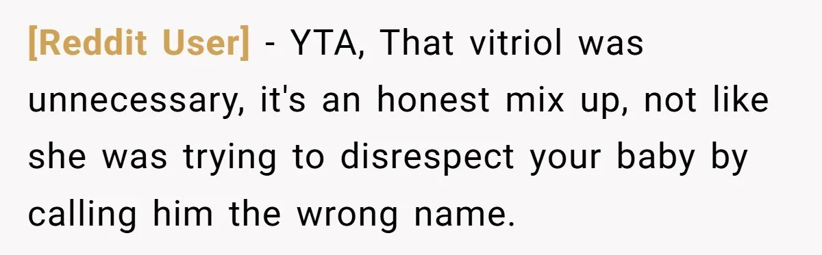 [Reddit User] - YTA, That vitriol was unnecessary, it's an honest mix up, not like she was trying to disrespect your baby by calling him the wrong name.