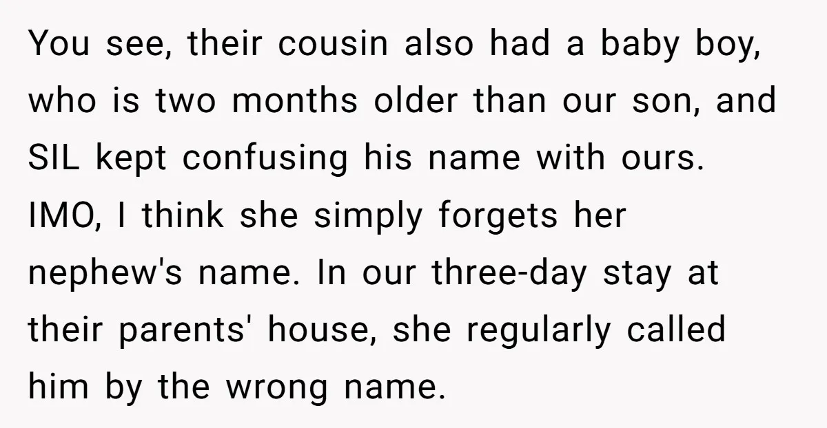 You see, their cousin also had a baby boy, who is two months older than our son, and SIL kept confusing his name with ours. IMO, I think she simply...