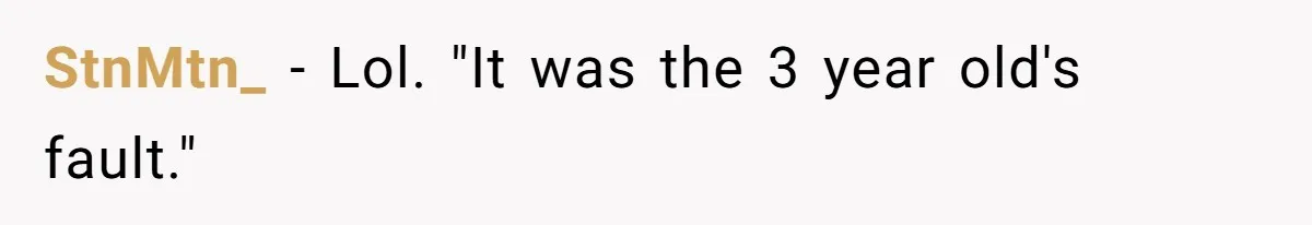 StnMtn_ − Lol. "It was the 3 year old's fault."