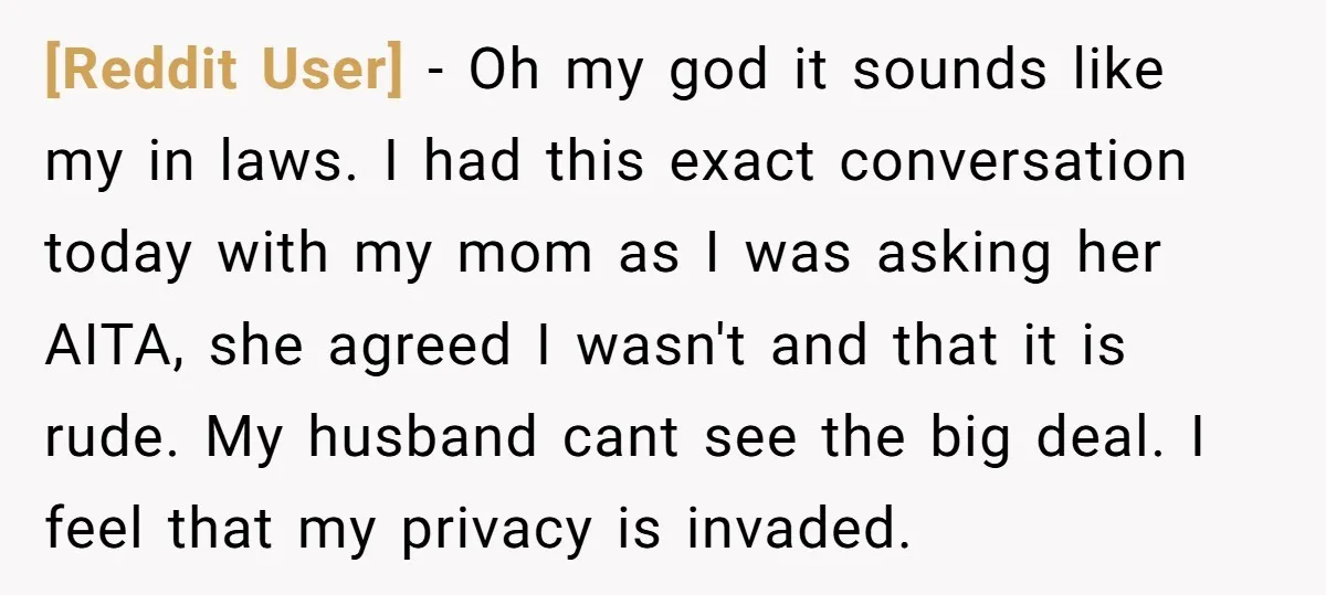 [Reddit User] − Oh my god it sounds like my in laws. I had this exact conversation today with my mom as I was asking her AITA, she agreed I...
