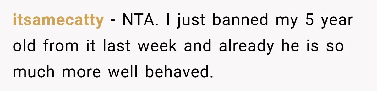 itsamecatty − NTA. I just banned my 5 year old from it last week and already he is so much more well behaved.