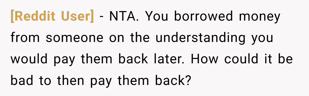 [Reddit User] − NTA. You borrowed money from someone on the understanding you would pay them back later. How could it be bad to then pay them back?