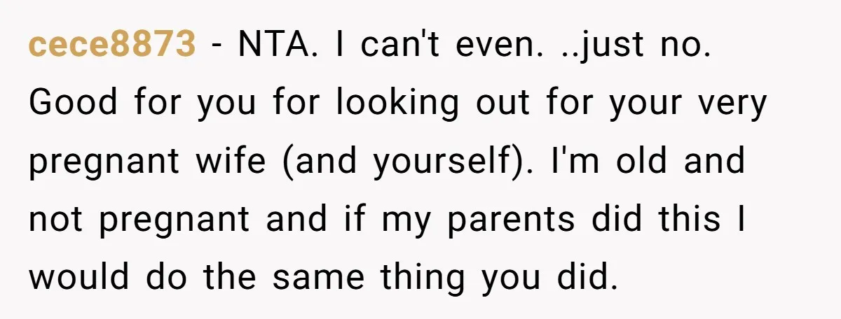 cece8873 − NTA. I can't even. ..just no. Good for you for looking out for your very pregnant wife (and yourself). I'm old and not pregnant and if my parents...