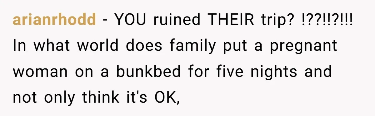 arianrhodd − YOU ruined THEIR trip? !??!!?!!! In what world does family put a pregnant woman on a bunkbed for five nights and not only think it's OK,
