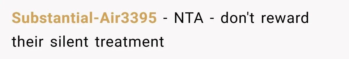 Substantial-Air3395 - NTA - don't reward their silent treatment