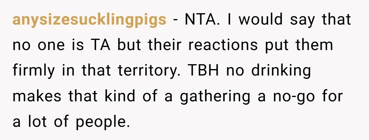anysizesucklingpigs − NTA. I would say that no one is TA but their reactions put them firmly in that territory. TBH no drinking makes that kind of a gathering a...