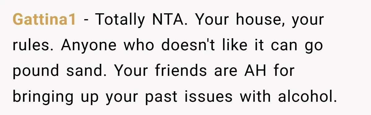 Gattina1 − Totally NTA. Your house, your rules. Anyone who doesn't like it can go pound sand. Your friends are AH for bringing up your past issues with alcohol.