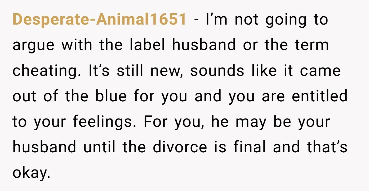 Desperate-Animal1651 − I’m not going to argue with the label husband or the term cheating. It’s still new, sounds like it came out of the blue for you and you...