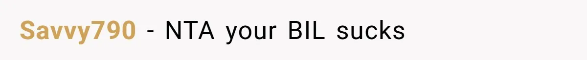 Savvy790 − NTA your BIL sucks