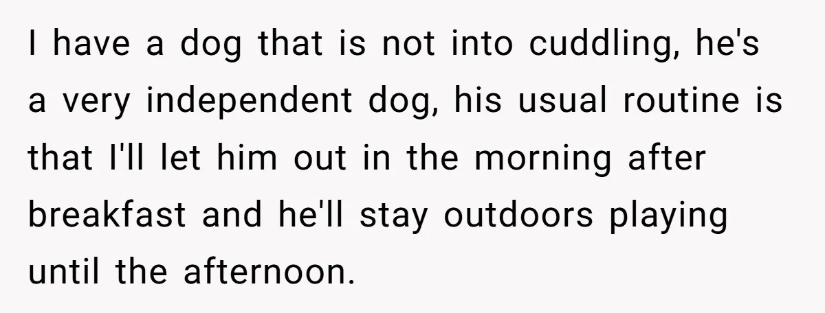 I have a dog that is not into cuddling, he's a very independent dog, his usual routine is that I'll let him out in the morning after breakfast and he'll...