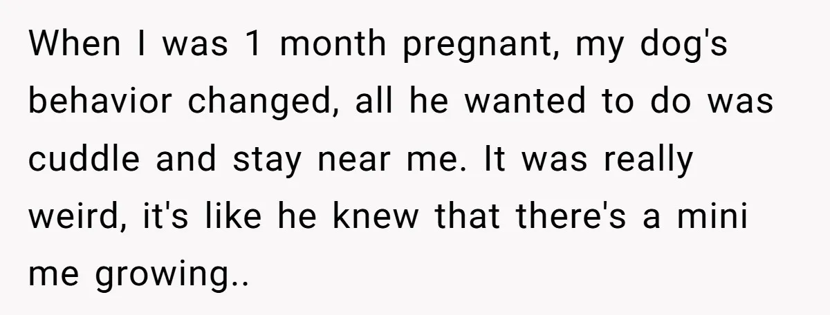When I was 1 month pregnant, my dog's behavior changed, all he wanted to do was cuddle and stay near me. It was really weird, it's like he knew that...
