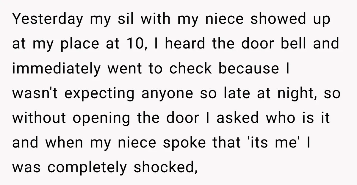 Yesterday my sil with my niece showed up at my place at 10, I heard the door bell and immediately went to check because I wasn't expecting anyone so late...