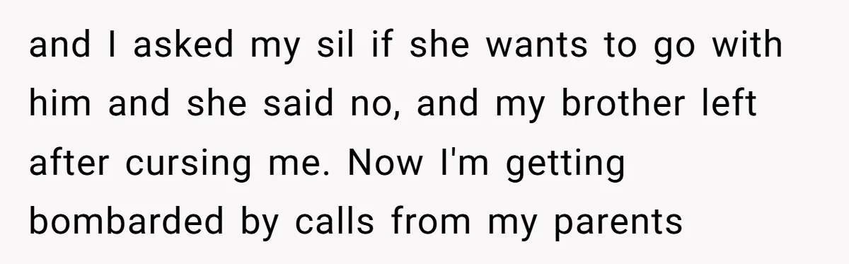 and I asked my sil if she wants to go with him and she said no, and my brother left after cursing me. Now I'm getting bombarded by calls from...