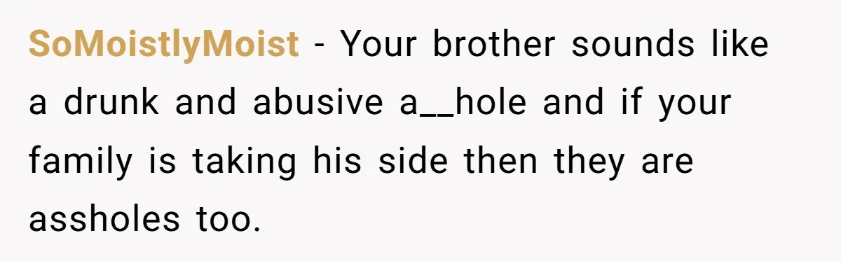 SoMoistlyMoist − Your brother sounds like a drunk and abusive a__hole and if your family is taking his side then they are assholes too.