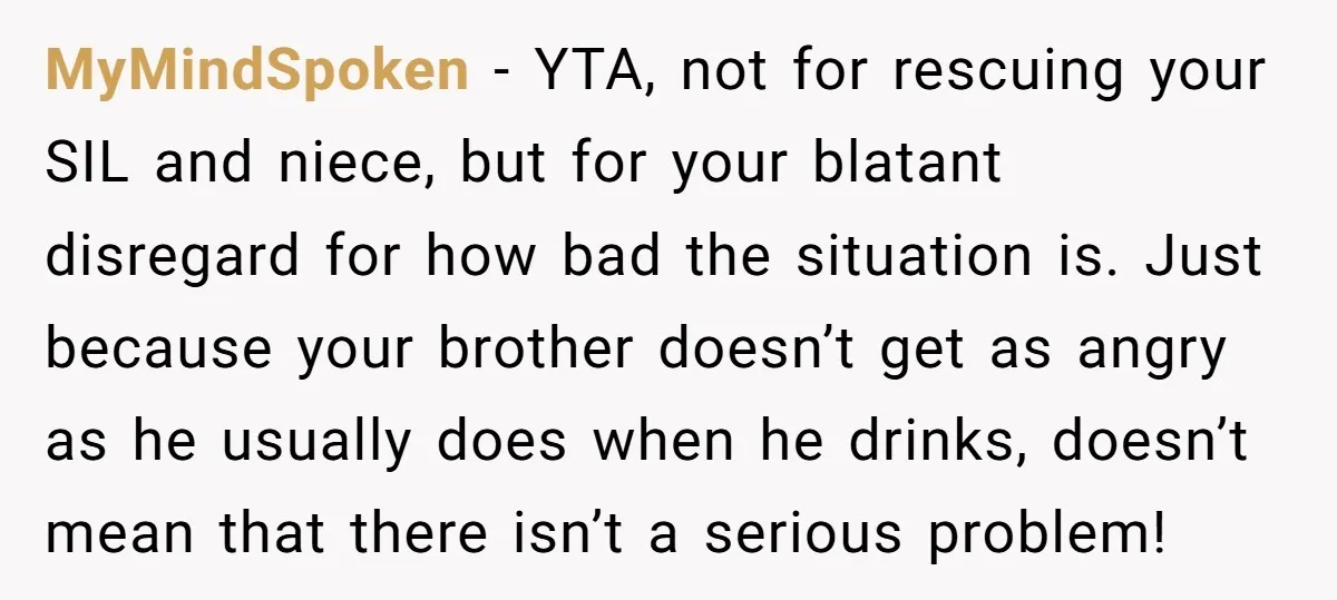 MyMindSpoken − YTA, not for rescuing your SIL and niece, but for your blatant disregard for how bad the situation is. Just because your brother doesn’t get as angry as...