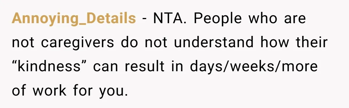 Annoying_Details − NTA. People who are not caregivers do not understand how their “kindness” can result in days/weeks/more of work for you.