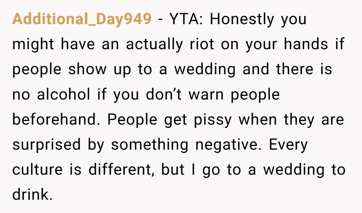 Additional_Day949 - YTA: Honestly you might have an actually riot on your hands if people show up to a wedding and there is no alcohol if you don’t warn people...