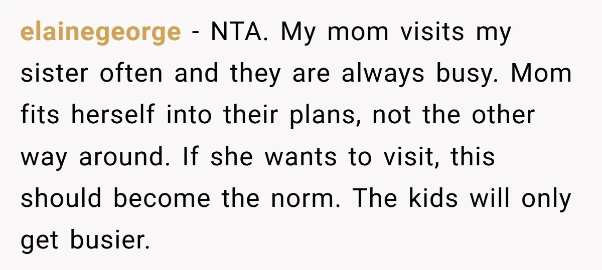 elainegeorge − NTA. My mom visits my sister often and they are always busy. Mom fits herself into their plans, not the other way around. If she wants to visit,...