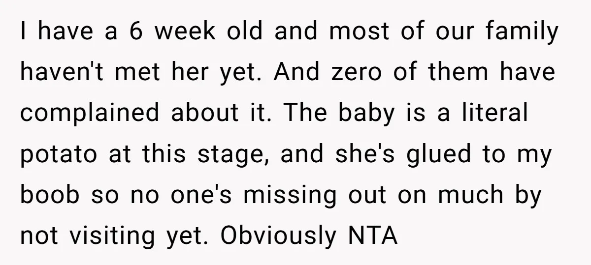 I have a 6 week old and most of our family haven't met her yet. And zero of them have complained about it. The baby is a literal potato at...