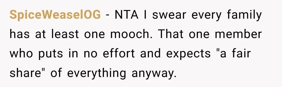SpiceWeaselOG − NTA I swear every family has at least one mooch. That one member who puts in no effort and expects "a fair share" of everything anyway.