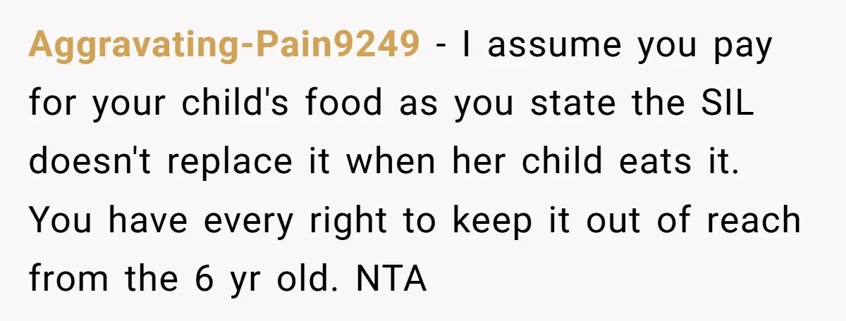 Aggravating-Pain9249 − I assume you pay for your child's food as you state the SIL doesn't replace it when her child eats it. You have every right to keep it...