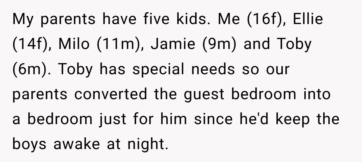 My parents have five kids. Me (16f), Ellie (14f), Milo (11m), Jamie (9m) and Toby (6m). Toby has special needs so our parents converted the guest bedroom into a bedroom...