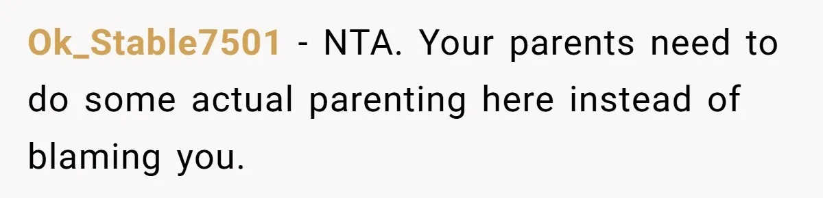 Ok_Stable7501 − NTA. Your parents need to do some actual parenting here instead of blaming you.