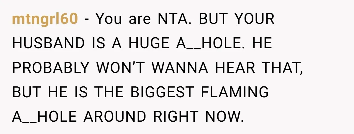mtngrl60 − You are NTA. BUT YOUR HUSBAND IS A HUGE A__HOLE. HE PROBABLY WON’T WANNA HEAR THAT, BUT HE IS THE BIGGEST FLAMING A__HOLE AROUND RIGHT NOW.