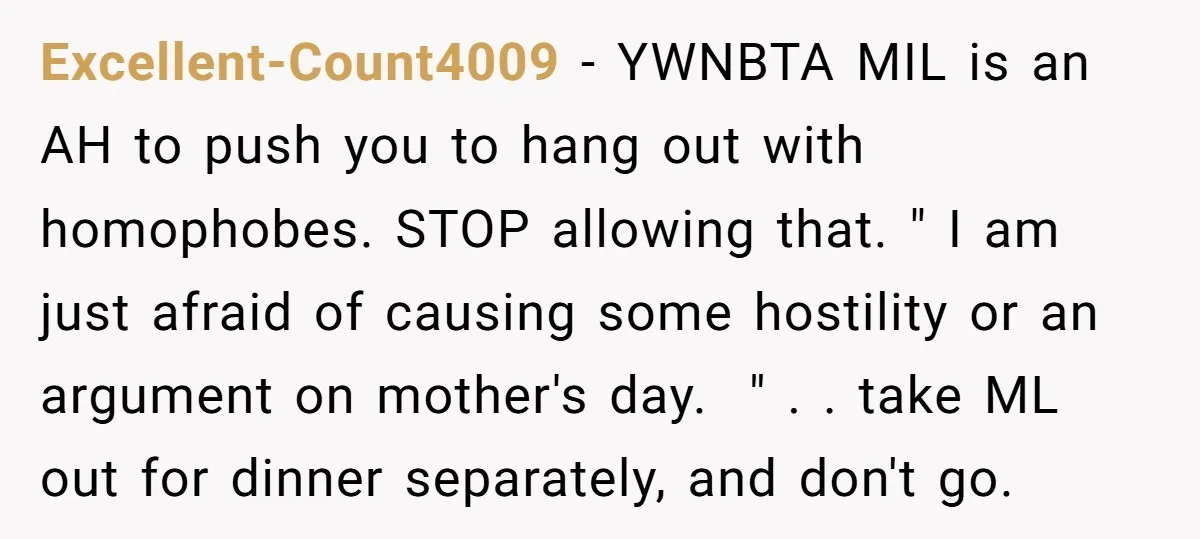 Excellent-Count4009 − YWNBTA MIL is an AH to push you to hang out with homophobes. STOP allowing that. " I am just afraid of causing some hostility or an argument...